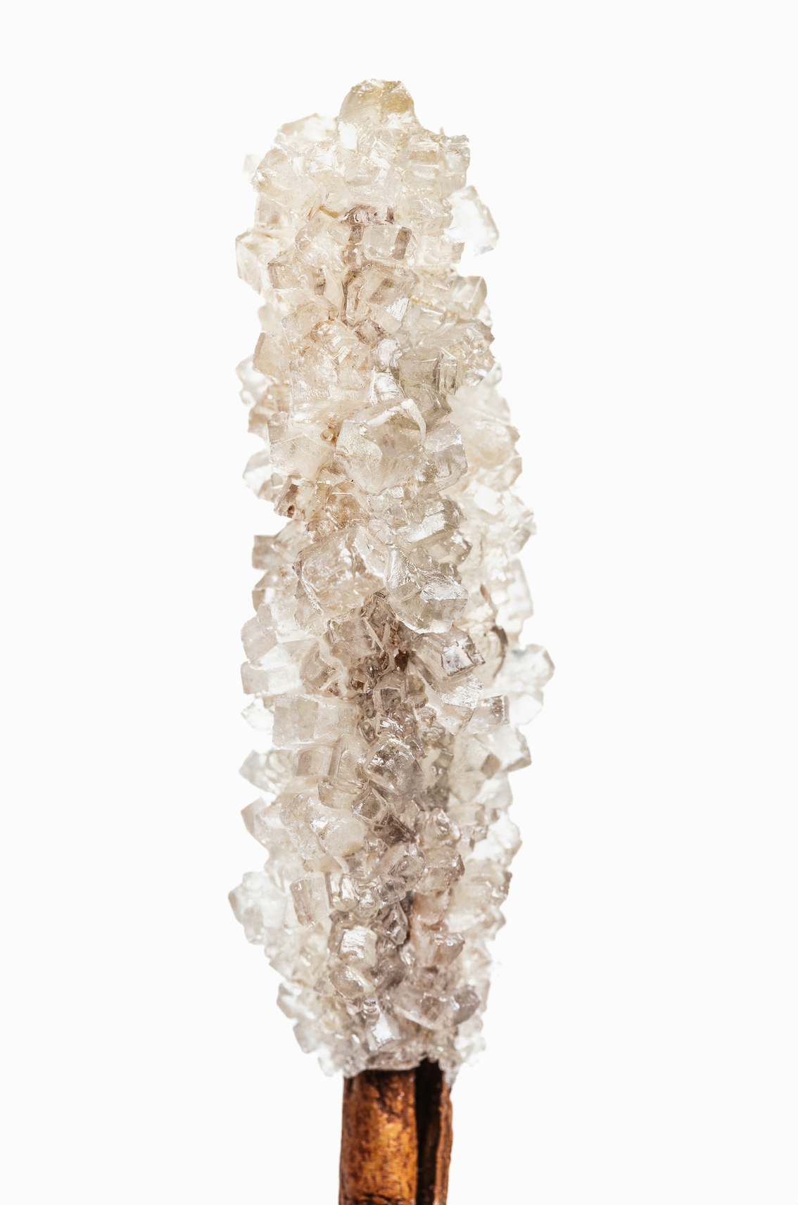Premium Vanilla Sugar 50ml Perfume Oil Rollerball