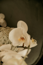 Premium Fleur de Vanille 50 ml Perfume Oil Dropper