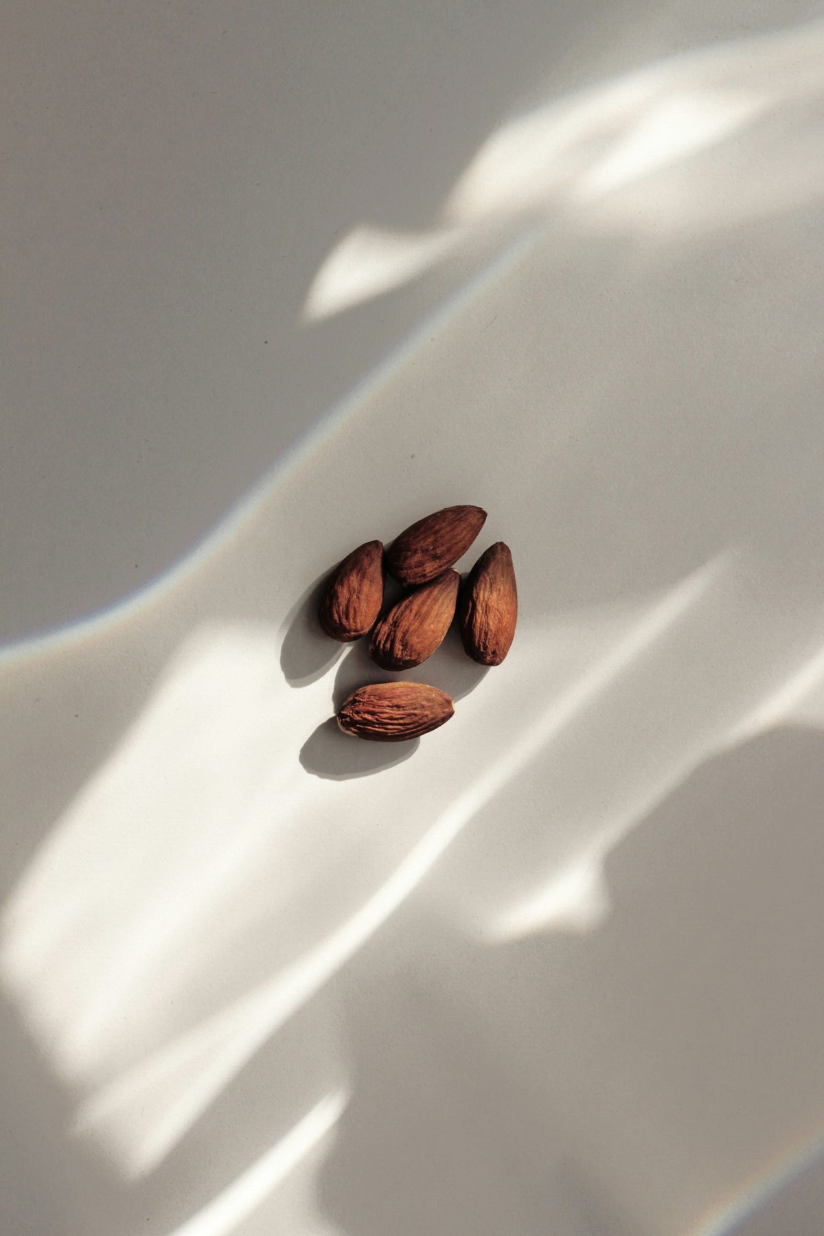 Premium Vanilla Almond 50ml Perfume Oil Rollerball